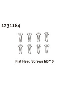 Flat Head Screw M3*10 (8)