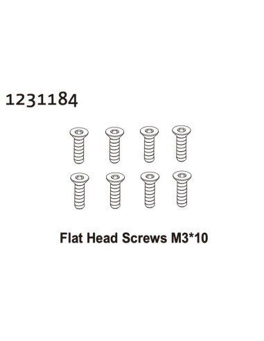 Flat Head Screw M3*10 (8)