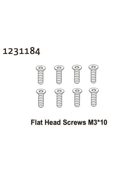 Flat Head Screw M3*10 (8)