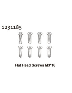 Flat Head Screw M3*16 (8)