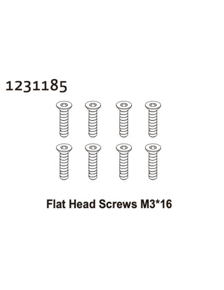 Flat Head Screw M3*16 (8)