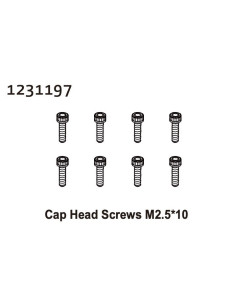 Cap Head Screws M2.5*10 (8)