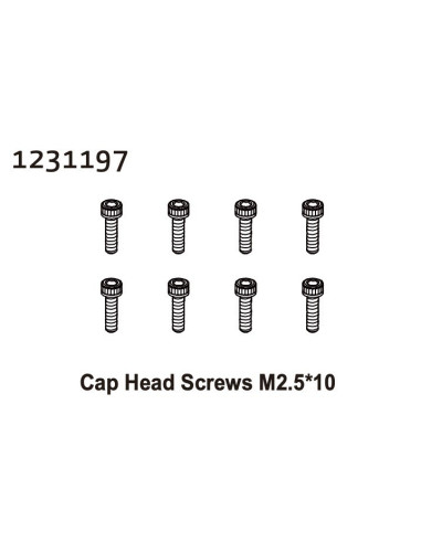 Cap Head Screws M2.5*10 (8)