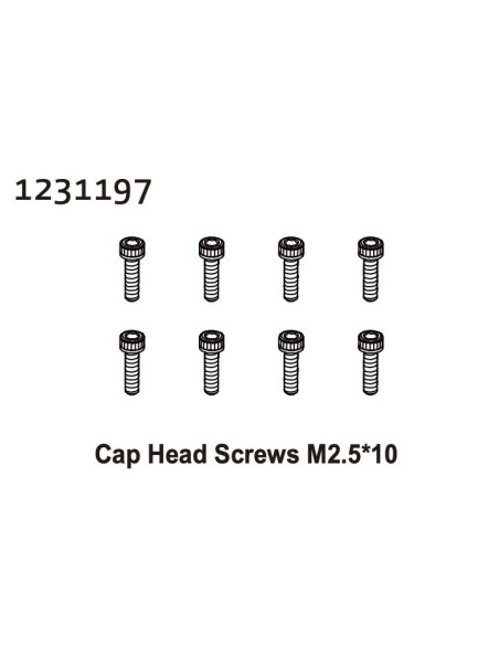 Cap Head Screws M2.5*10 (8)