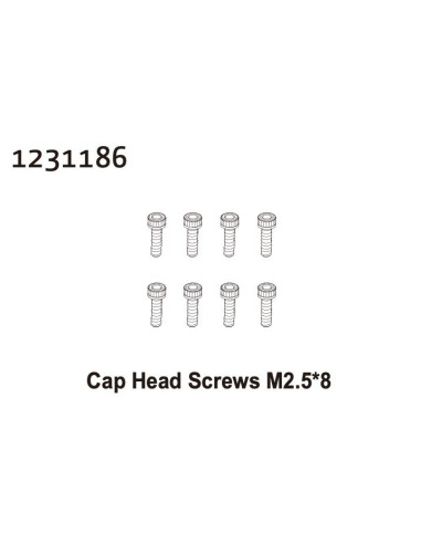 Cap Head Screw M2.5*8 (8)