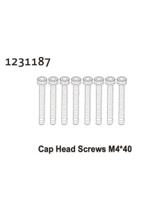 Cap Head Screw M4*40 (8)