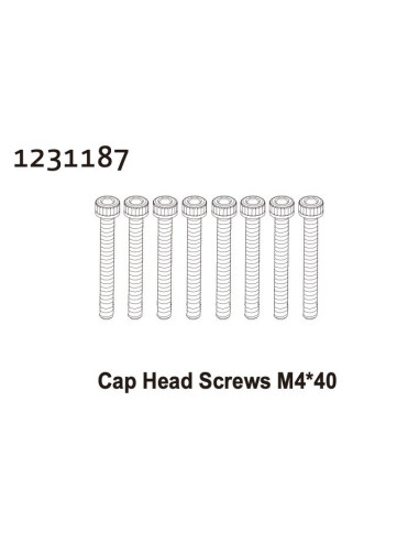 Cap Head Screw M4*40 (8)