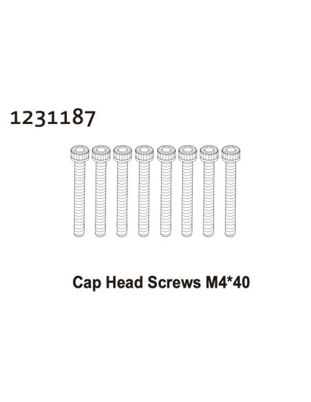 Cap Head Screw M4*40 (8)