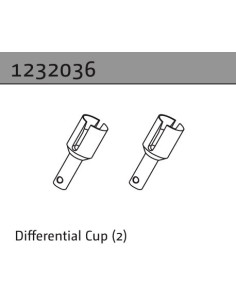 Differential Cup (2)