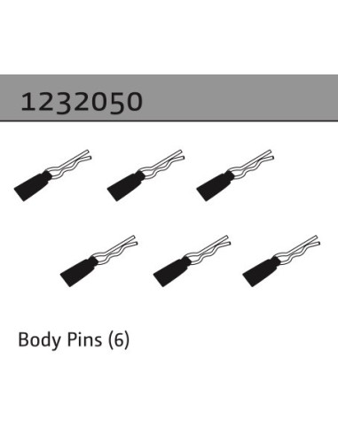 Body Pins (6)