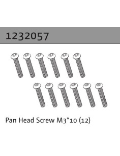 Pan Head Screw M3*10 (12)