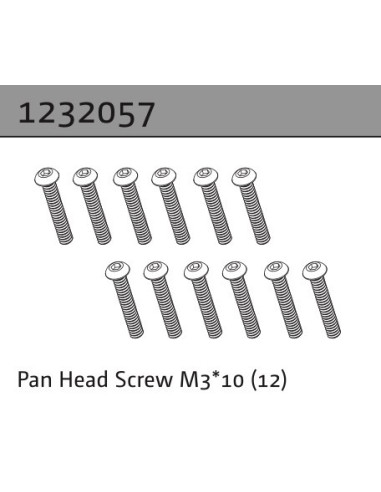 Pan Head Screw M3*10 (12)