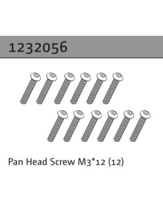 Pan Head Screw M3*12 (22)