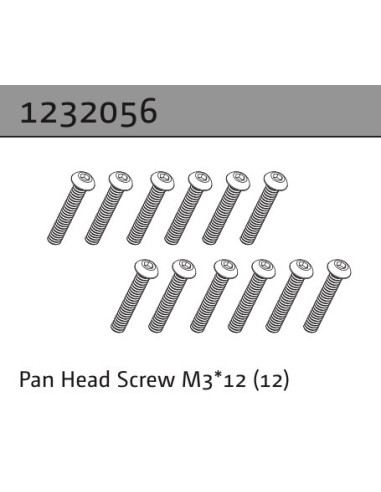 Pan Head Screw M3*12 (22)