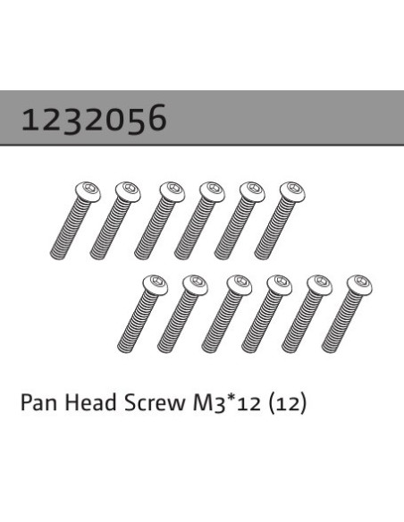 Pan Head Screw M3*12 (22)