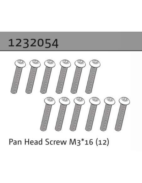 Pan Head Screw M3*16 (10)