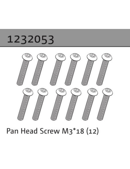 Pan Head Screw M3*18 (10)