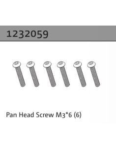 Pan Head Screw M3*6 (6)