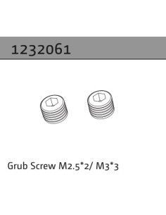 Grub Screw M2.5*2-M3*3 (2)