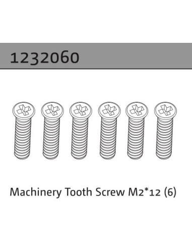 Machinery Tooth Screw M2*12 (6)