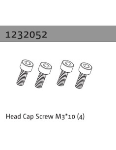 Head Cap Screw M3*10 (4)