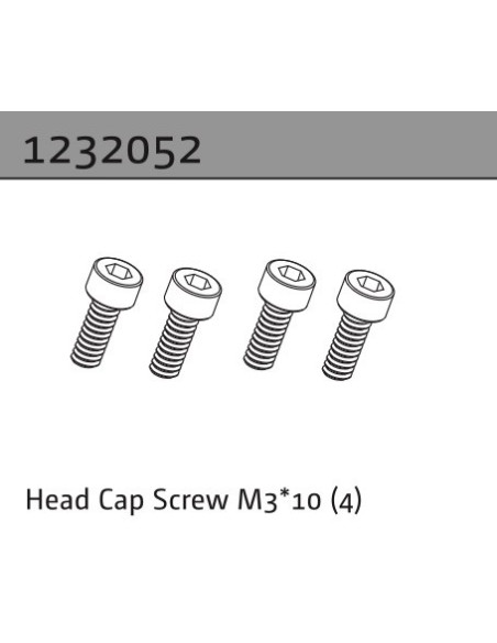 Head Cap Screw M3*10 (4)
