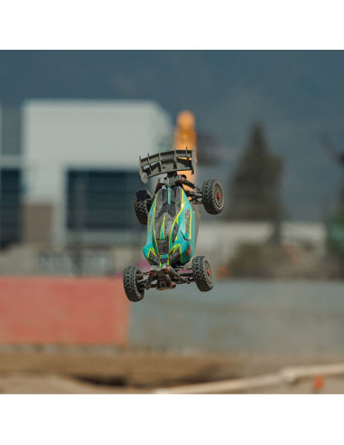 1/8 TYPHON 223S DSC 4X4 RTR Brushless Buggy  Green