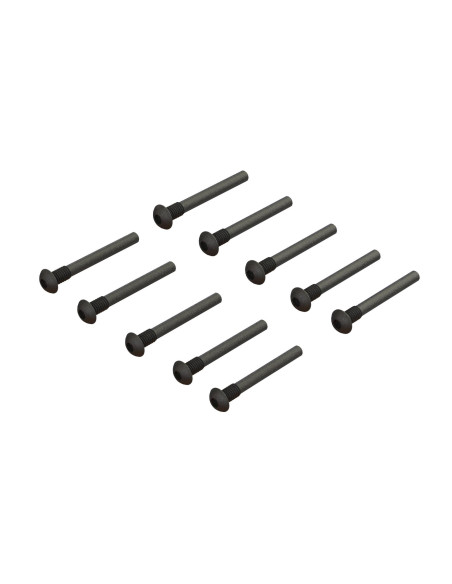 Button Head Screw Pin M3x24mm (10)