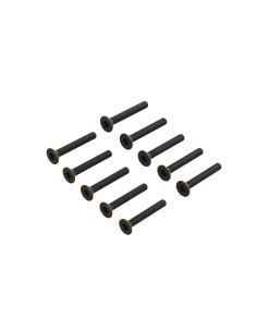 Flat Head Screw M1.6x12mm (10)