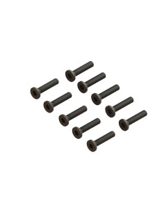 Flat Head Screw M2.5x12mm (10)