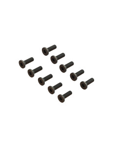 Flat Head Screw M2.5x8mm (10)