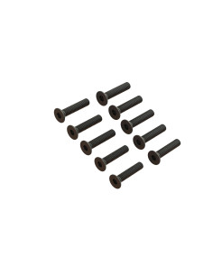 Flat Head Screw M2x10mm (10)