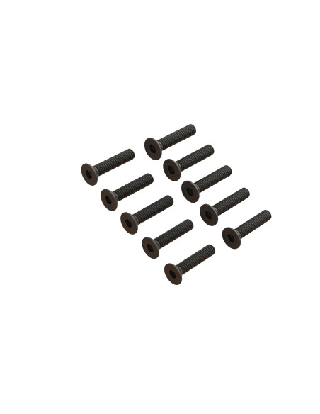 Flat Head Screw M2x10mm (10)