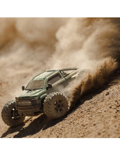 1-10 BIG ROCK 223S DSC 4X4...