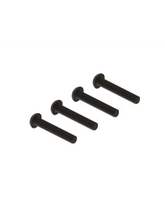 Button Head Screw  M4x24mm (4)