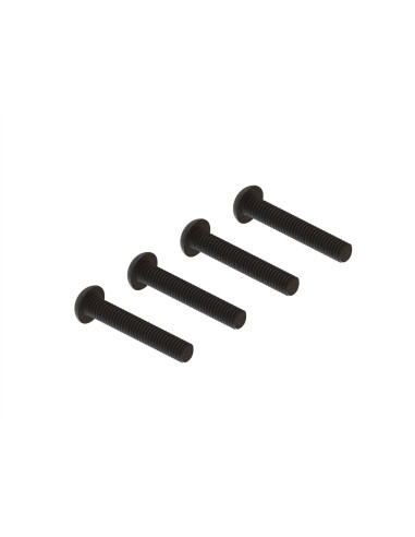 Button Head Screw  M4x24mm (4)