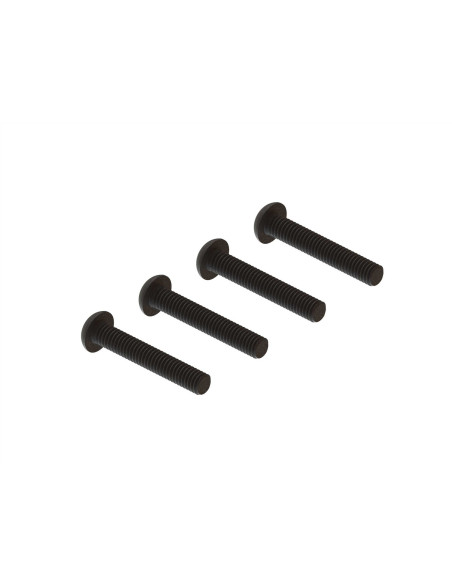 Button Head Screw  M4x24mm (4)