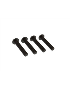 Button Head Screw  M5x20mm (4)