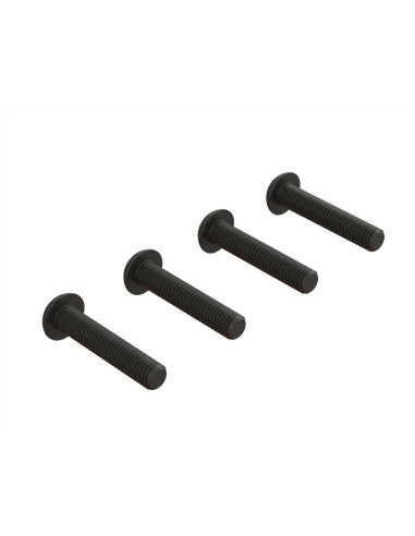Button Head Screw  M5x25mm (4)