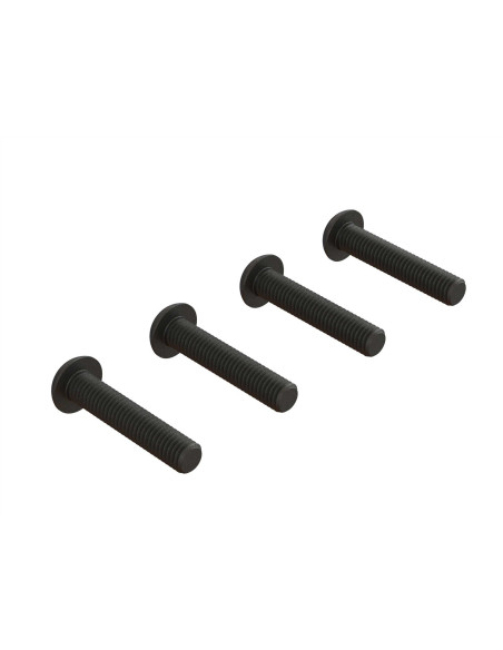 Button Head Screw  M5x25mm (4)
