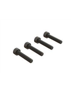 Cap Head Screw  M4x20mm (4)