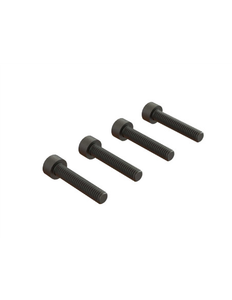 Cap Head Screw  M4x20mm (4)