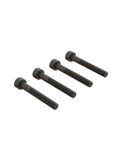 Cap Head Screw  M4x30mm (4)