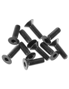Flat Head Screw 3x10mm (10)