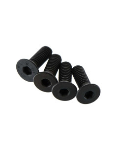 Flat Head Screw 4x12mm (4)