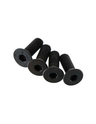 Flat Head Screw 4x12mm (4)