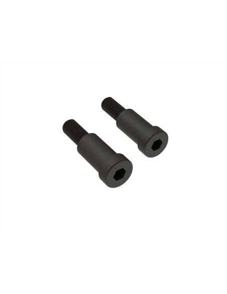 Step Screw 6x22mm (2)