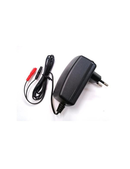 Cargador automático para baterías de Gel 6 Voltios