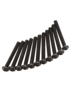 Button Head Screw 3x22mm (10)