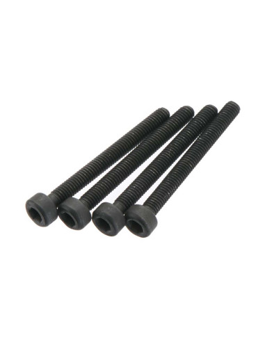 Cap Head Screw 3x28mm (4)